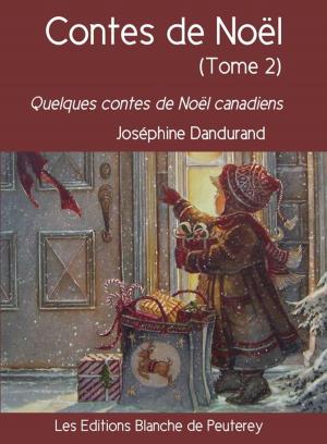 Cover of the book Contes de Noël (Tome 2) by Saint Augustin
