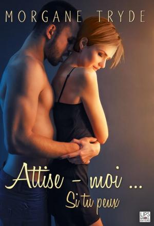 Cover of the book Attise-moi... Si tu peux by Shirley Veret