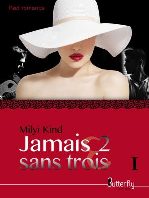 Cover of the book Jamais 2 sans Trois by Celine Delhaye
