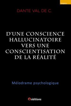 Cover of the book D'une conscience hallucinatoire vers une conscientisation de la réalité by Marco Vincenzo E Veronica Fòmia