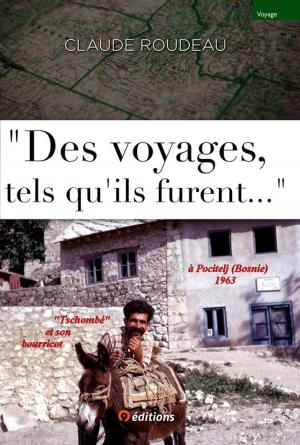 Cover of the book Des voyages tels qu'ils furent... by Lee Klancher, Phil Freeman