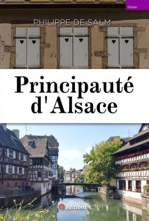 Cover of the book Principauté d'Alsace by Herman Koch
