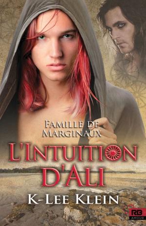 Cover of the book L'Intuition d'Ali by Marie Sexton