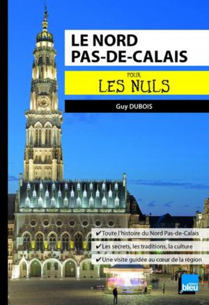 Cover of the book Le Nord Pas-de-Calais pour les Nuls poche by Derek BREEN