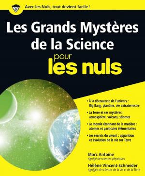 Cover of the book Les Grands Mystères de la Science pour les Nuls by FRIGIEL, Nicolas DIGARD