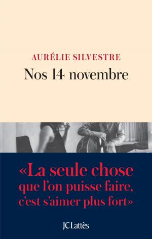 Cover of the book Nos 14 novembre by Laure Buisson