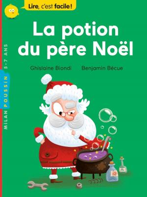 Book cover of La potion du père Noël