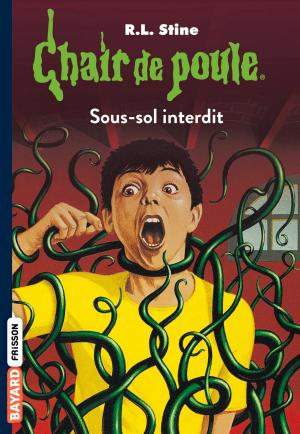 Cover of the book Chair de poule , Tome 17 by Jude Watson