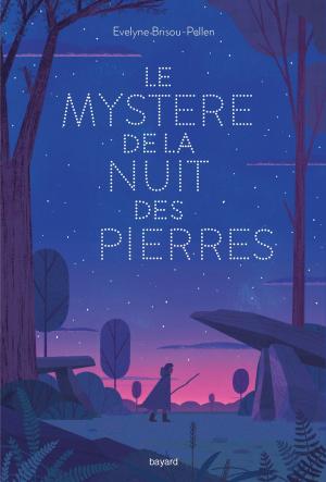 Cover of the book Le mystère de la nuit des pierres by Marie Aubinais, Charlotte LE BRETON