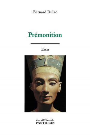 Cover of the book Prémonition by Véronique Minet