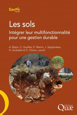 Cover of the book Les sols by Claire Lamine, Stéphane Bellon