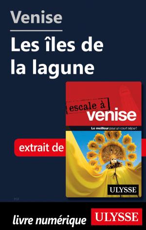 Cover of the book Venise - Les îles de la lagune by Mathieu Boisvert