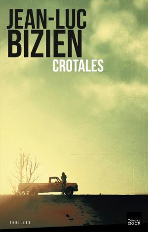 Book cover of Crotales