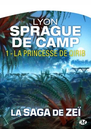 Cover of the book La Princesse de Qirib by Paul Beorn