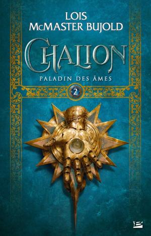 Cover of the book Paladin des âmes by Paul J. Mcauley