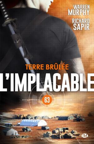 Cover of the book Terre brûlée by Steve Cavanagh