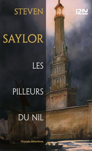 Cover of the book Les pilleurs du Nil by Viviane MOORE