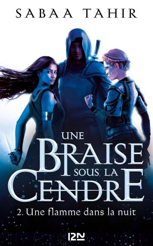Cover of the book Une braise sous la cendre - tome 2 : Une flamme dans la nuit by Colleen HOUCK
