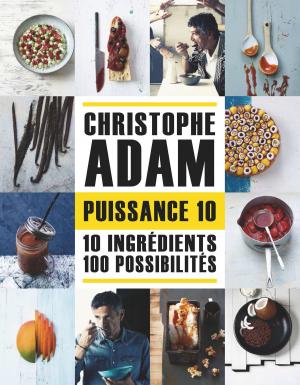 Cover of the book Puissance 10 - 10 ingrédients 100 possibilités by Alain Ducasse, Paule Neyrat, Jerome Lacressonniere