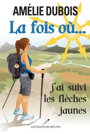 Cover of the book La fois où... j'ai suivi les flèches jaunes by Michèle B. Tremblay