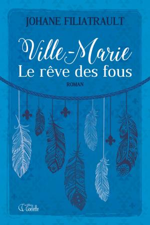 Cover of the book Ville-Marie, le rêve des fous by Chantal Bissonnette