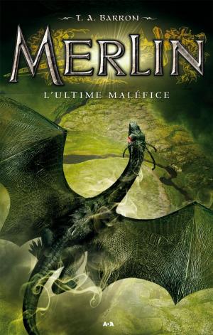 Cover of the book L’ultime maléfice by Martin Daneau