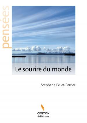 Cover of the book Le sourire du monde by Steve Lavigne