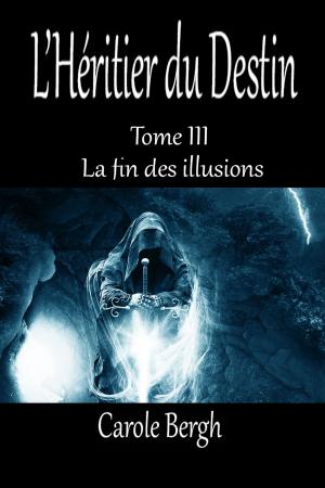 Cover of the book L'HÉRITIER DU DESTIN TOME III by Alberto Canen