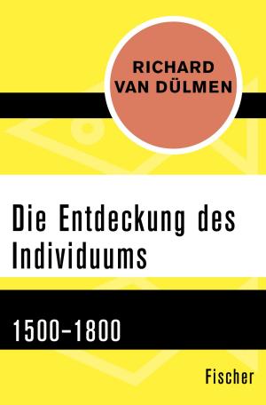 Cover of the book Die Entdeckung des Individuums by Dr. Jürgen Brater