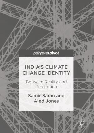 Cover of the book India's Climate Change Identity by David Borthwick