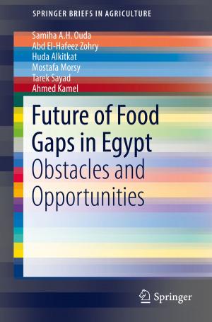 Cover of the book Future of Food Gaps in Egypt by Pratul Kumar Saraswati, M.S. Srinivasan