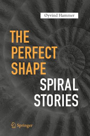 Cover of the book The Perfect Shape by Philipp Schmidt-Thomé, Jaana Jarva, Kristiina Nuottimäki, Thi Ha Nguyen, Thanh Long Pham