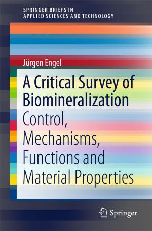 bigCover of the book A Critical Survey of Biomineralization by 