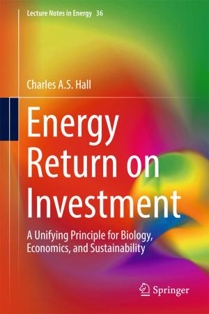 Cover of the book Energy Return on Investment by Diane E. Eynon