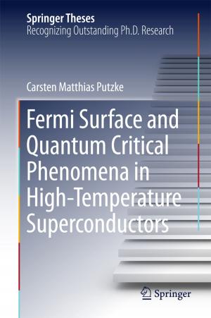 Book cover of Fermi Surface and Quantum Critical Phenomena of High-Temperature Superconductors