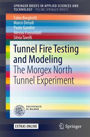 Cover of the book Tunnel Fire Testing and Modeling by Mihaela Girtan