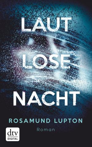 Cover of the book Lautlose Nacht by Joachim Ringelnatz