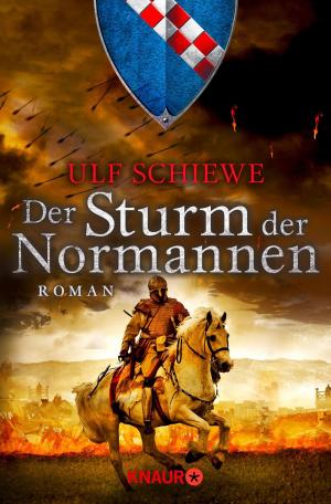 Book cover of Der Sturm der Normannen