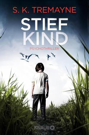 Book cover of Stiefkind