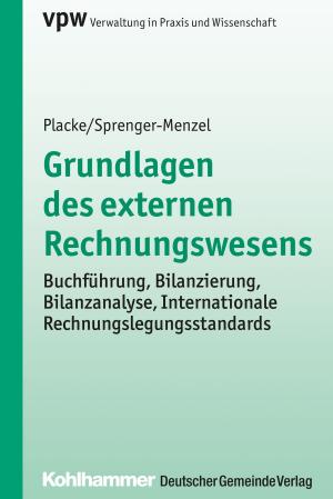 Cover of the book Grundlagen des externen Rechnungswesens by Reinhard Stöckel, Christian Volquardsen