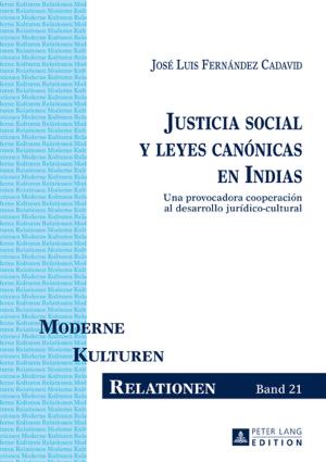bigCover of the book Justicia social y leyes canónicas en Indias by 