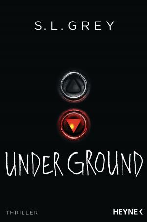 Cover of the book Under Ground by S. D.  Perry