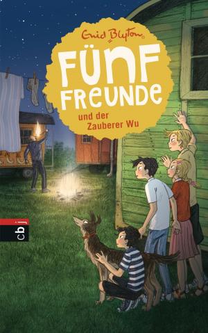 Cover of the book Fünf Freunde und der Zauberer Wu by Usch Luhn