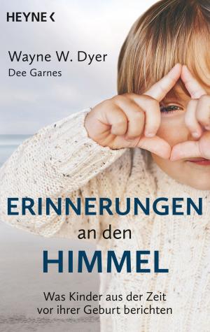 Cover of the book Erinnerungen an den Himmel by Alan Dean Foster