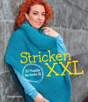 Cover of the book Stricken XXL by Benjamin Busche