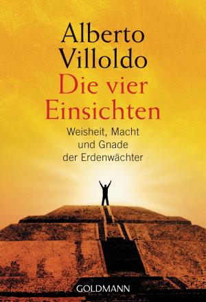 Cover of the book Die vier Einsichten by Andreas Gruber