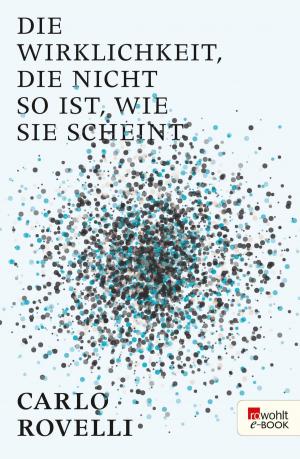 Cover of the book Die Wirklichkeit, die nicht so ist, wie sie scheint by Marcus Werner