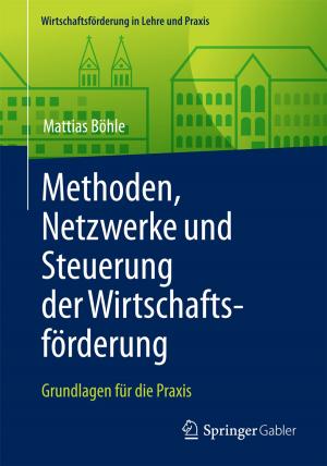 Cover of the book Methoden, Netzwerke und Steuerung der Wirtschaftsförderung by Ahmed Motiar