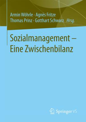 Cover of the book Sozialmanagement – Eine Zwischenbilanz by Dietrich Kellersmann, Corinna Treisch, Steffen Lampert, Daniela Heinemann