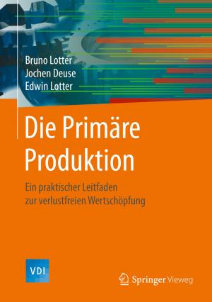 Cover of the book Die Primäre Produktion by Juan G. Roederer, Hui Zhang